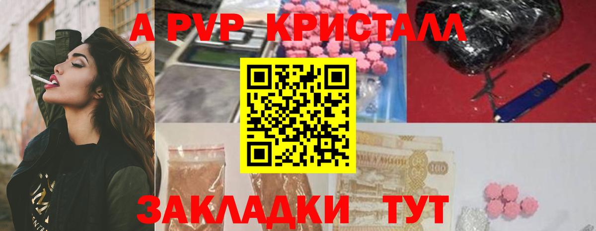 A PVP СК Калининград